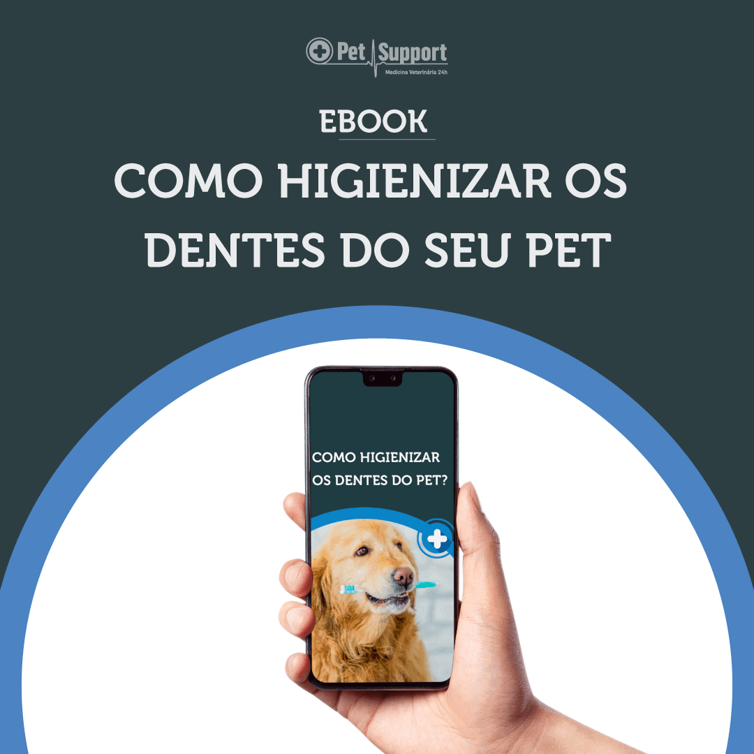 Como Higienizar os Dentes do seu Pet