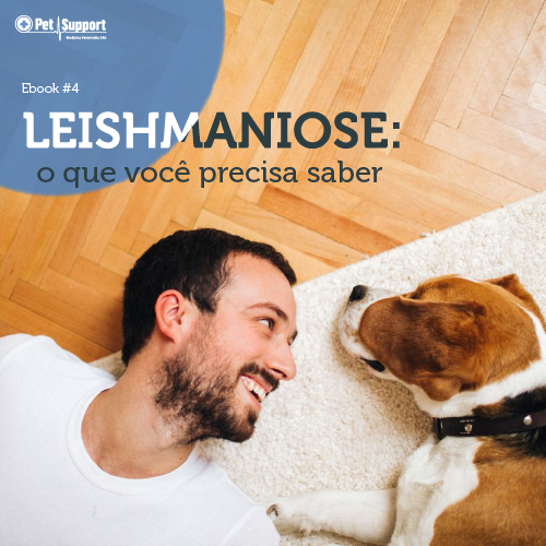 Leishmaniose: o que você precisa saber