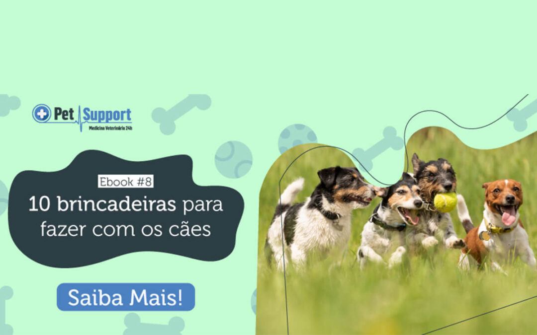 Novo Ebook: 10 brincadeiras para fazer com os cães