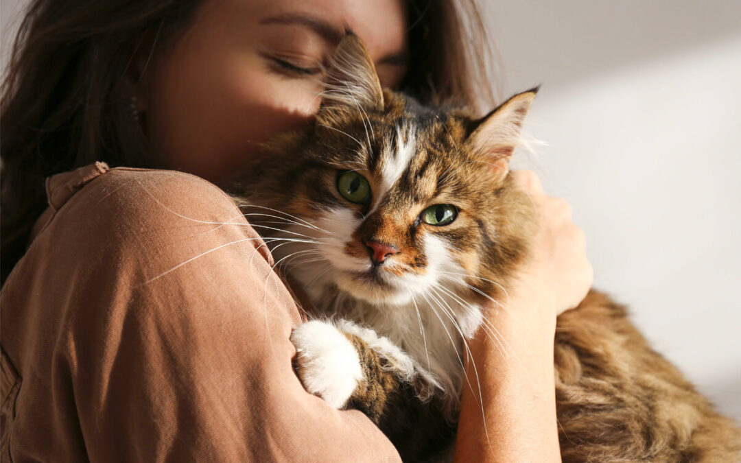 Pet feliz: como saber?