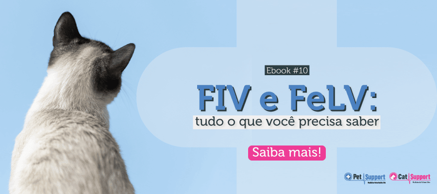FIV e FeLV: tudo o que você precisa saber