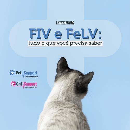 FIV e FeLV