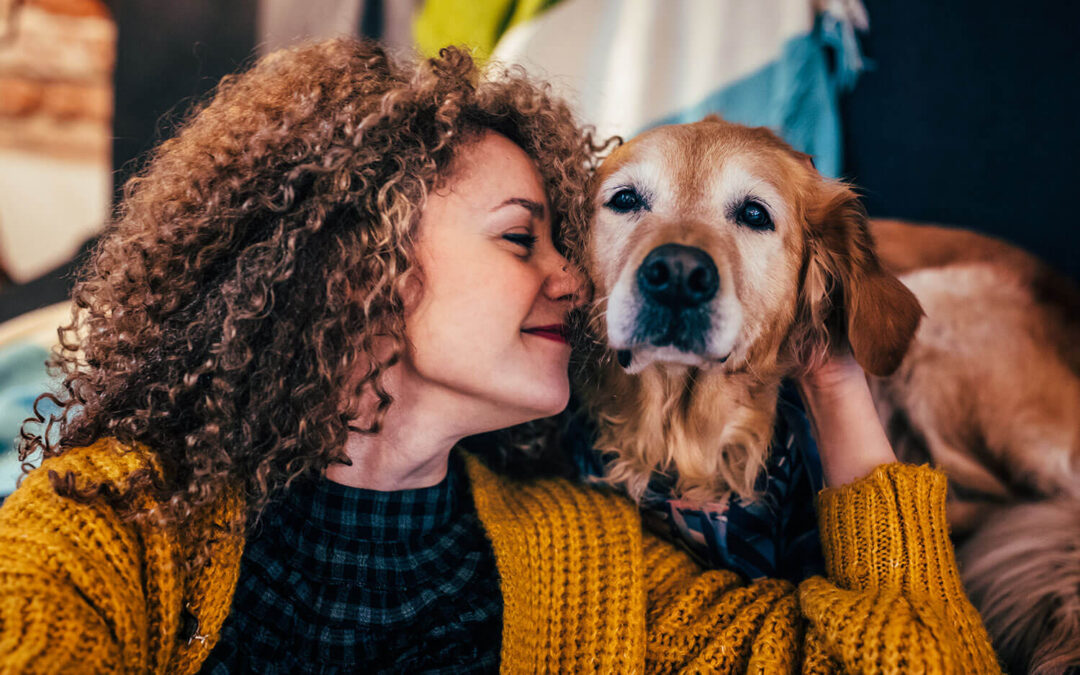 Guia para Cirurgia Veterinária