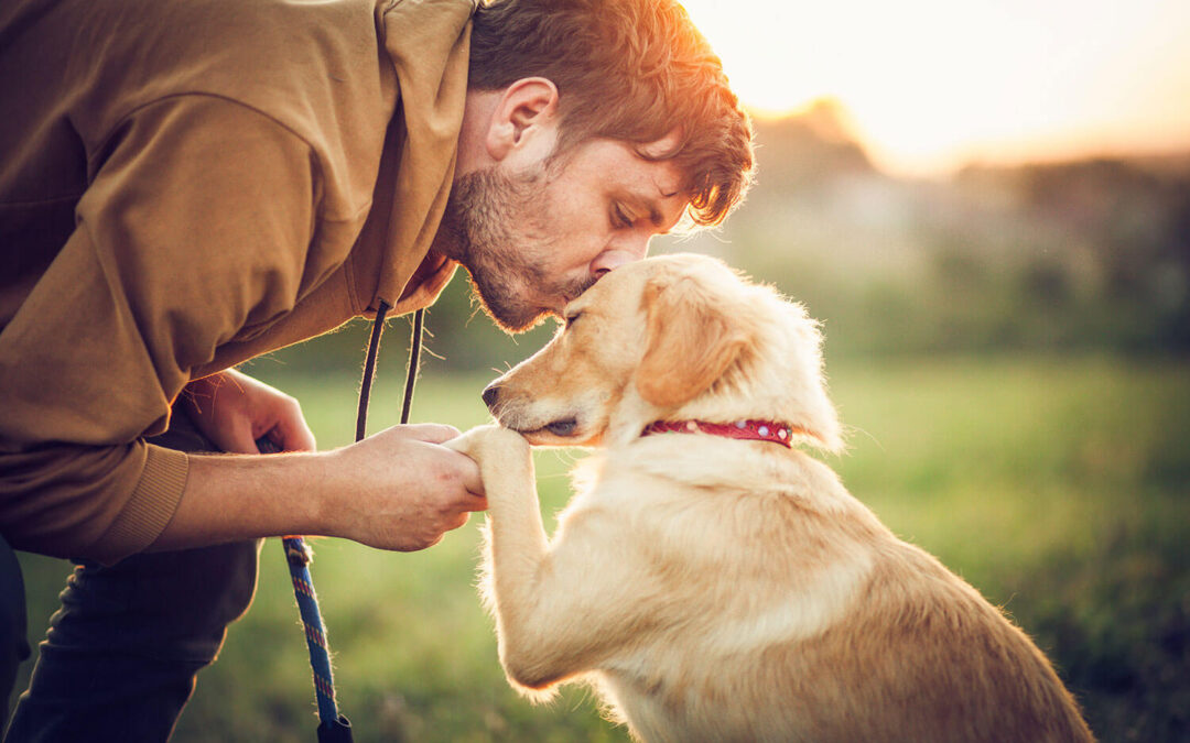 Parvovirose canina: o que você precisa saber