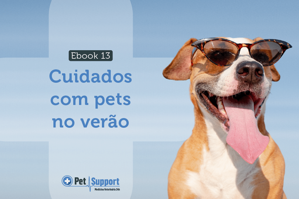 Cuidados com pets no verão