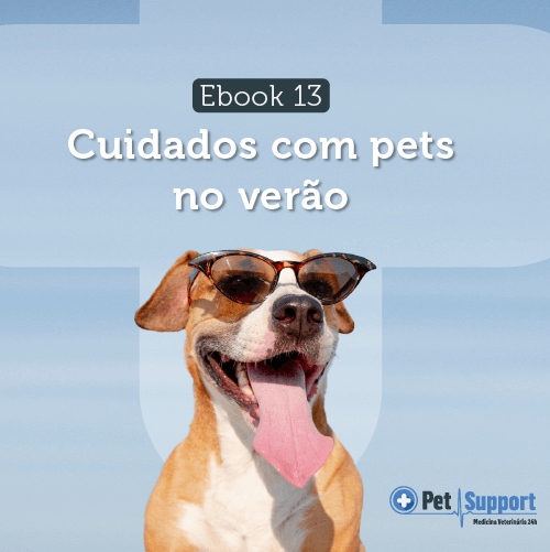 Ebook Cuidados com Pets no Verão