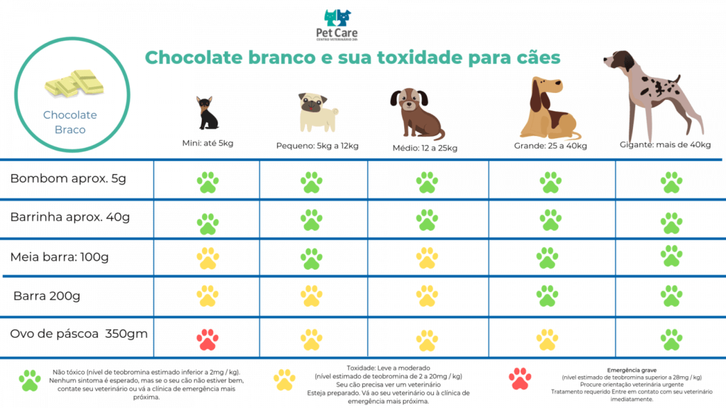 chocolate branco mata cães