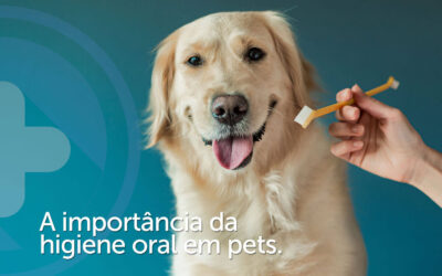 Doença periodontal em cães e gatos: por que prevenir?