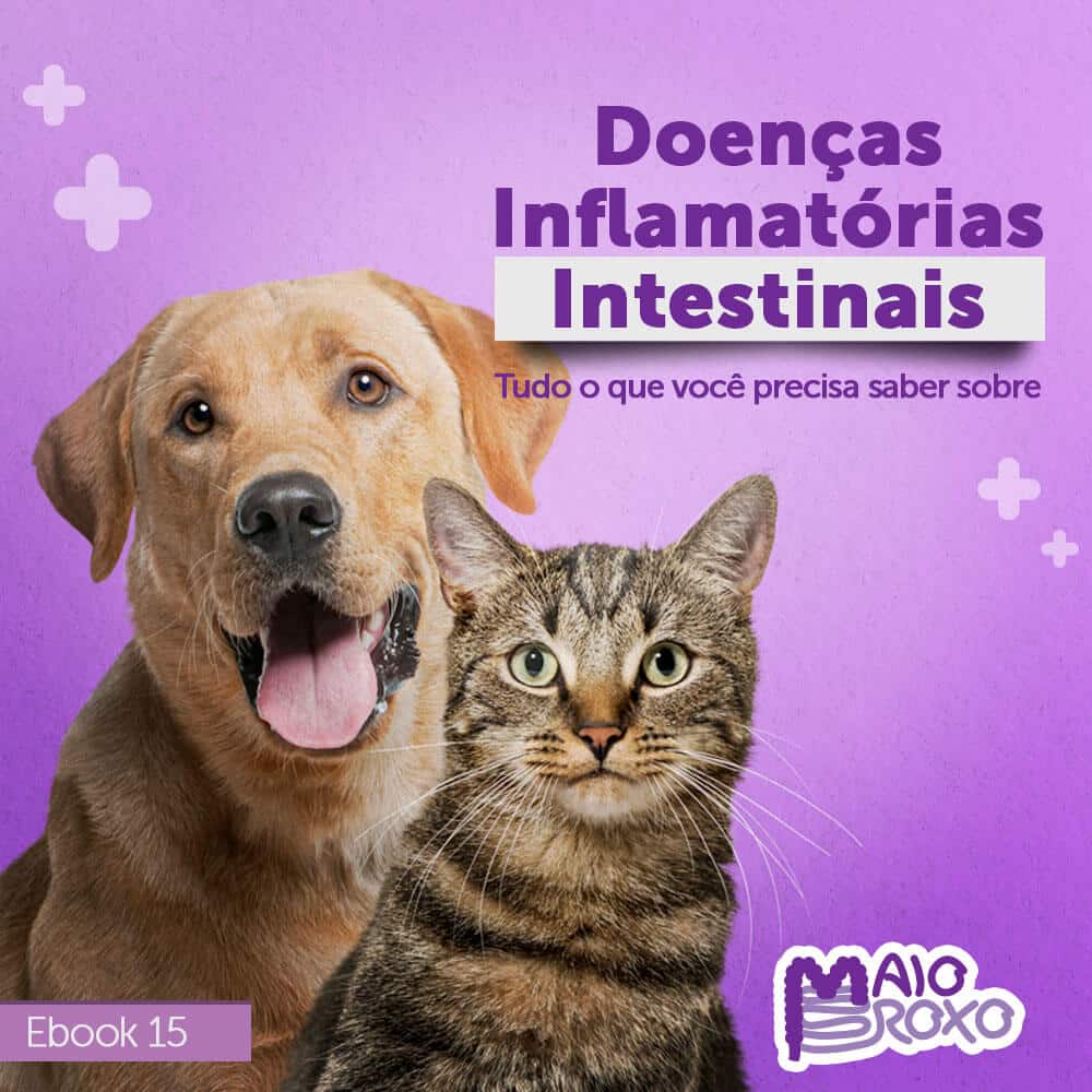 ebook doenças inflamatórias intestinais em pets