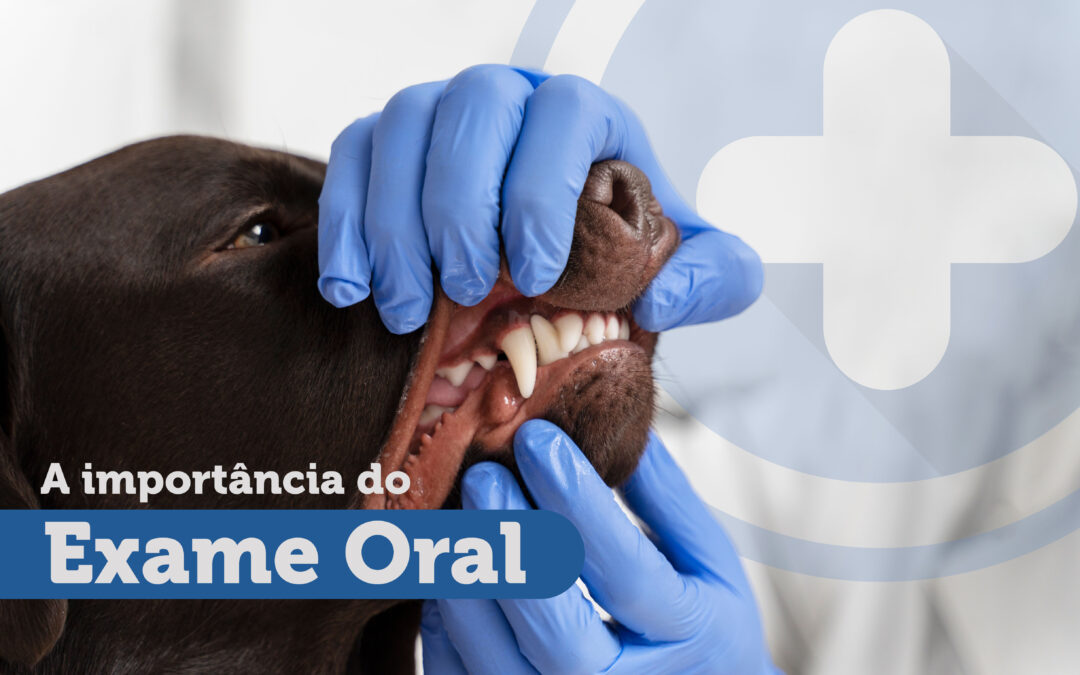 Exame Oral em Pets: por que é importante e como fazer em casa