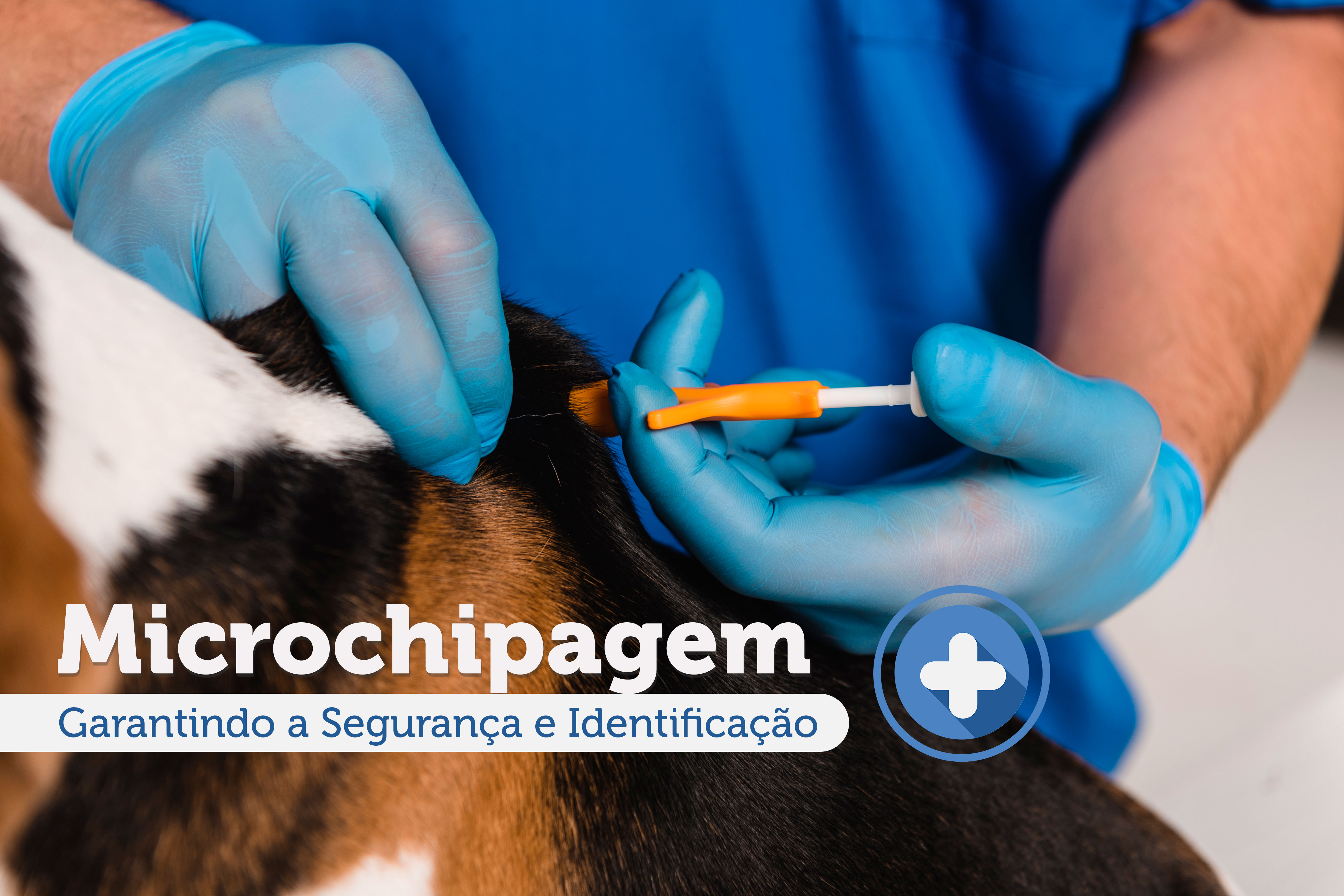 microchipagem em animais