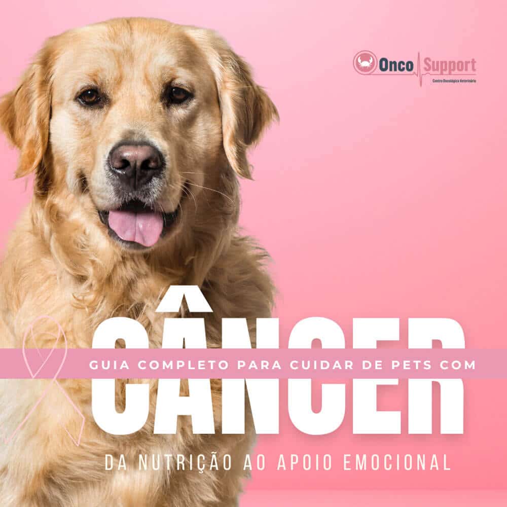 Cuidar de Pets com Câncer