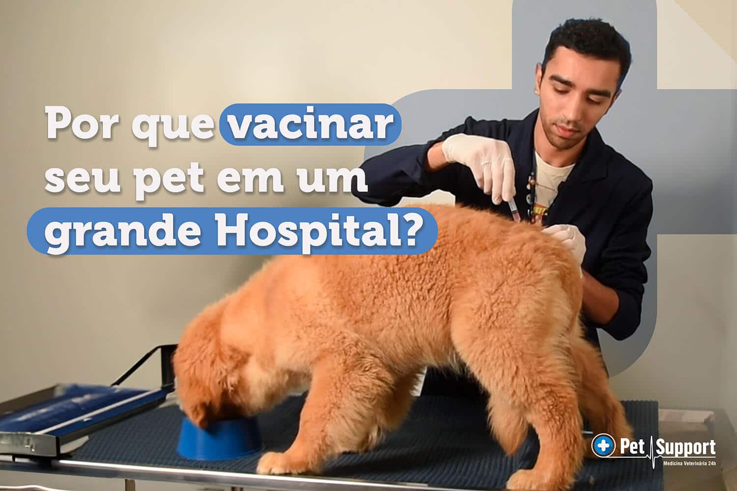 vacinar seu pet