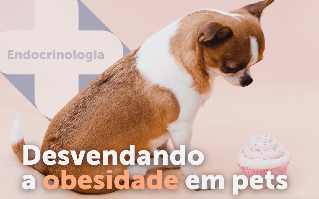 Combatendo a Obesidade em Pets: o papel do endocrinologista veterinário