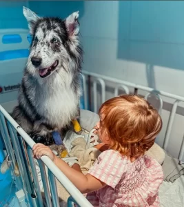 UTI Pet Support Cão e Criança